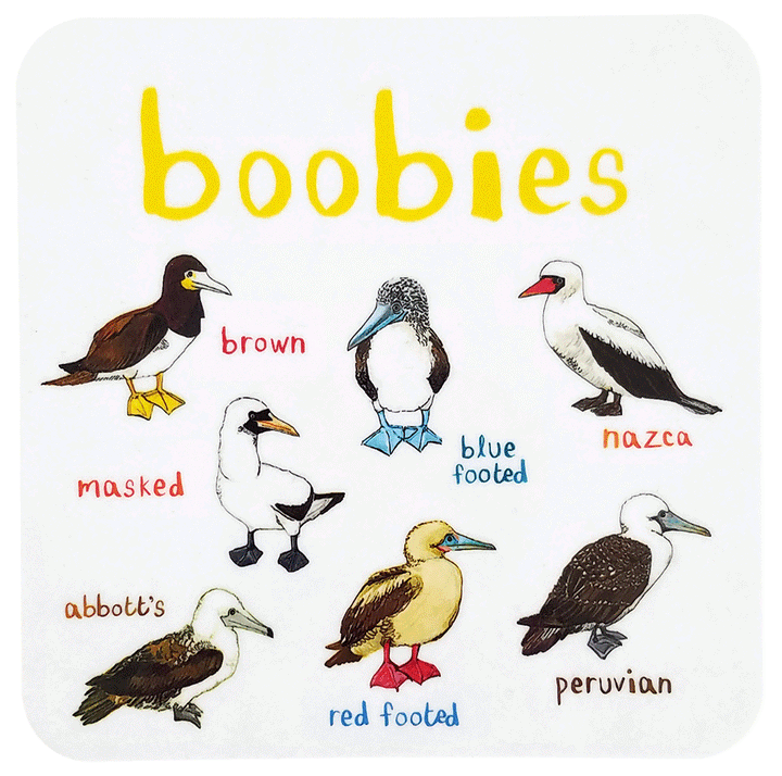 Cheeky Bird Coasters Additional 8