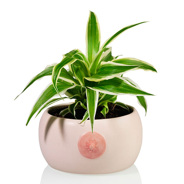 Booby Planter