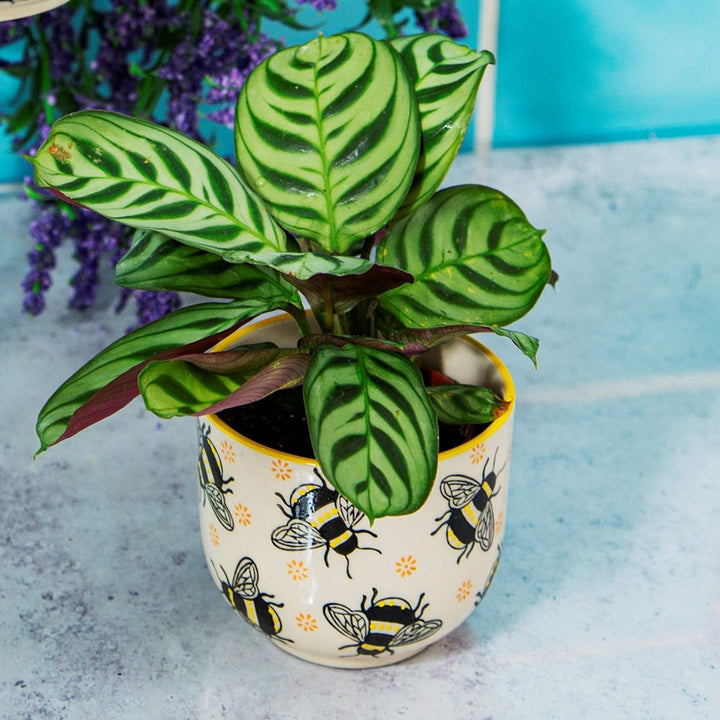 Busy Bees Small Planter