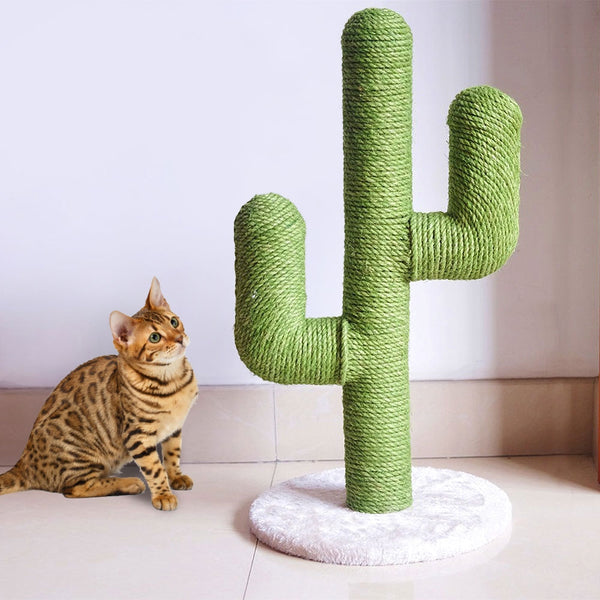 Cactus Cat Scratcher