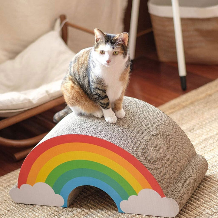Cat Scratching Rainbow Additional 2