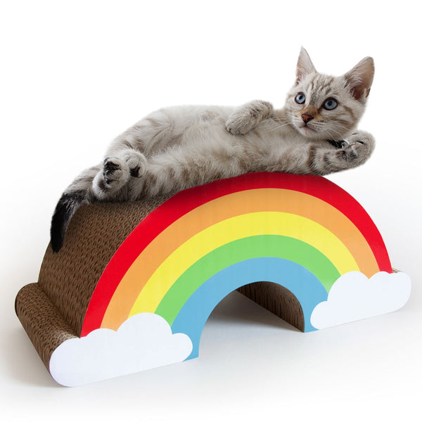 Cat Scratching Rainbow