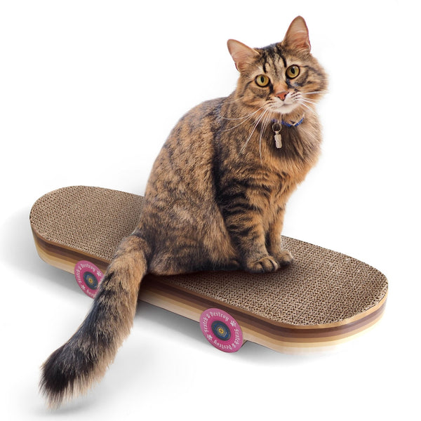 Cat Scratching Skateboard