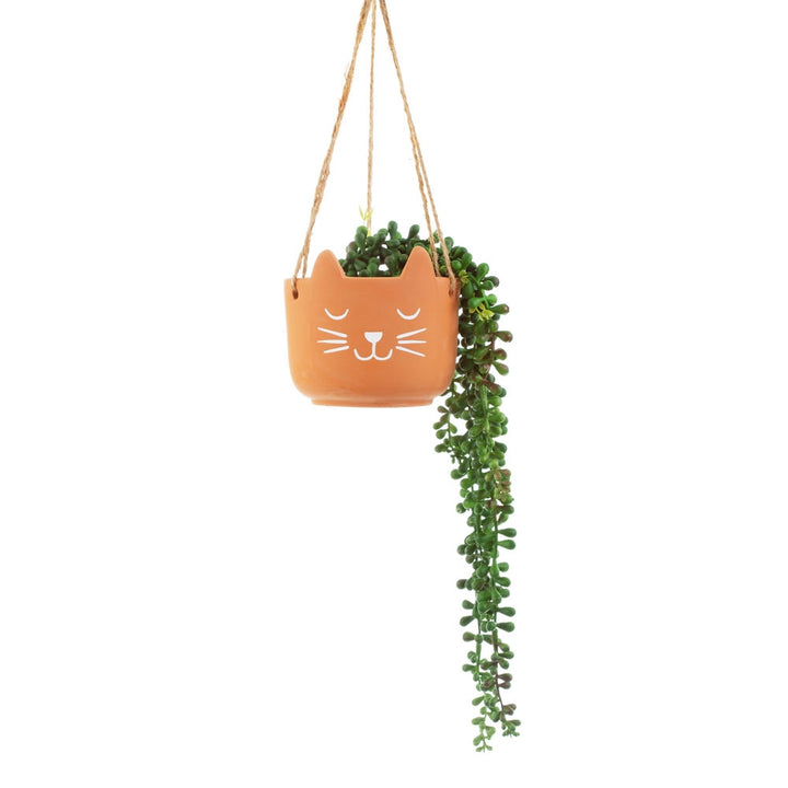 Cat's Whiskers Terracotta Hanging Planter [D] Additional 3
