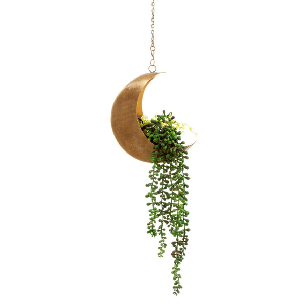 Celestial Moon Hanging Planter