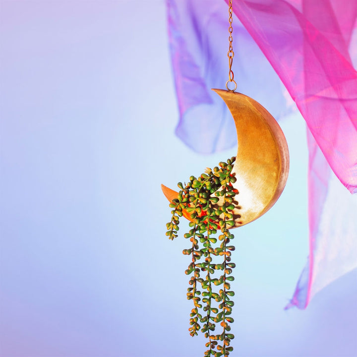Celestial Moon Hanging Planter [D] Additional 2