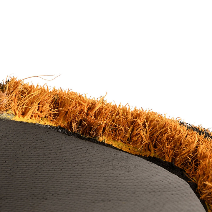 Chaz the Cheetah Doormat Additional 3