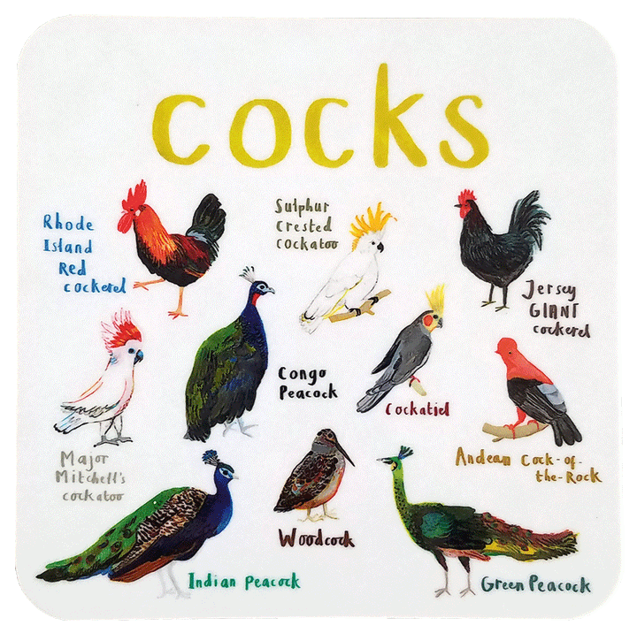 Cheeky Bird Coasters Additional 11