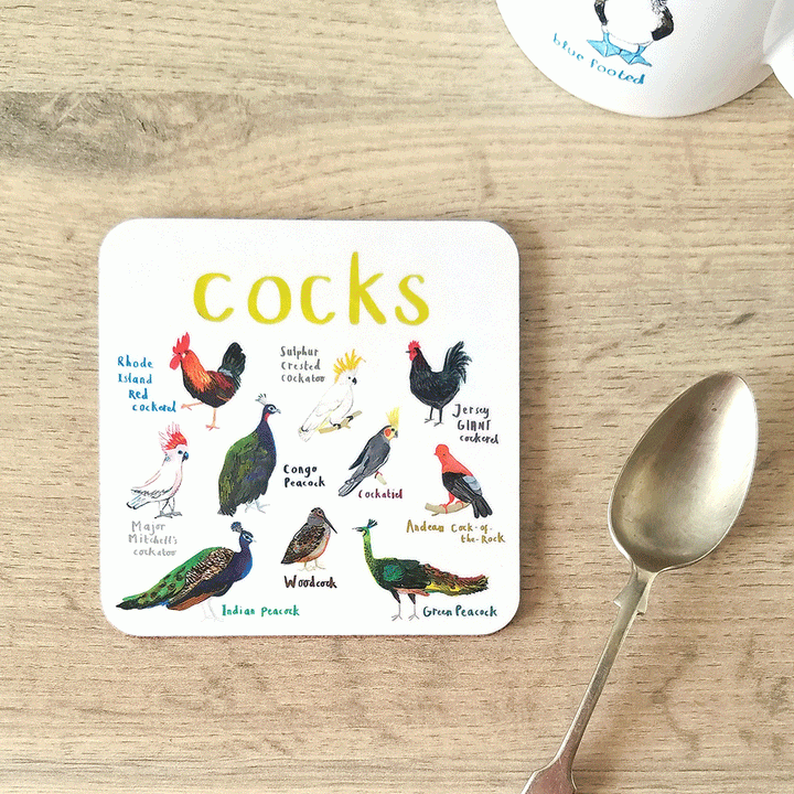 Cheeky Bird Coasters Additional 12