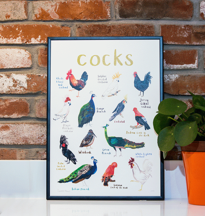 Cocks A4 Print [D] Additional 1