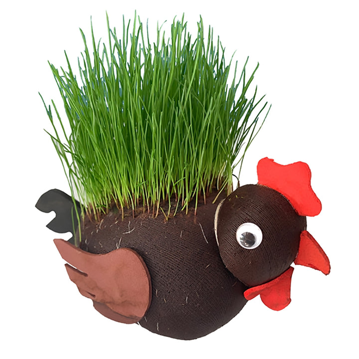 Grow your own Hairy Cock 