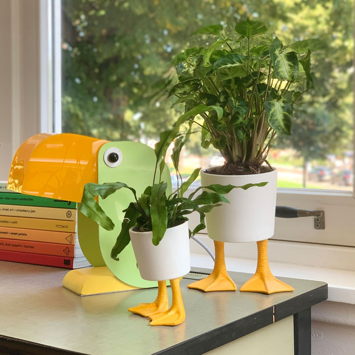 Duck Feet Planter - Large Additional 3