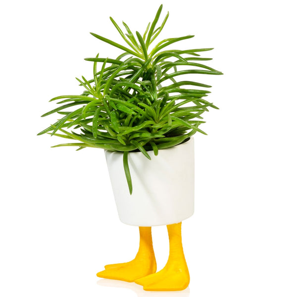 Duck Feet Planter (Small)