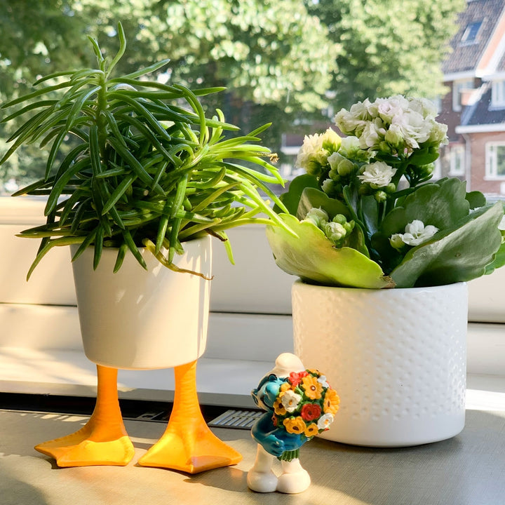 Duck Feet Planter - Small Additional 3