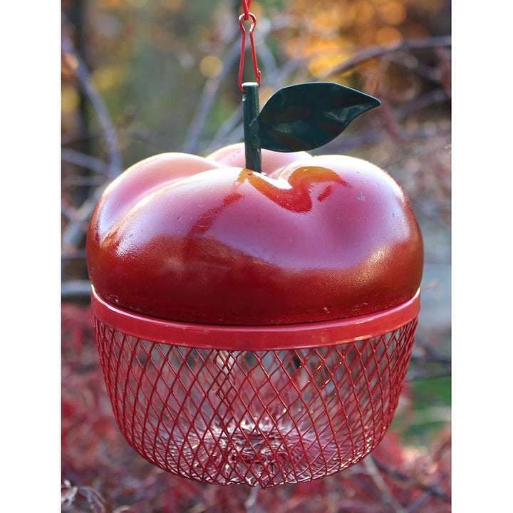 Apple Bird Feeder Additional 4