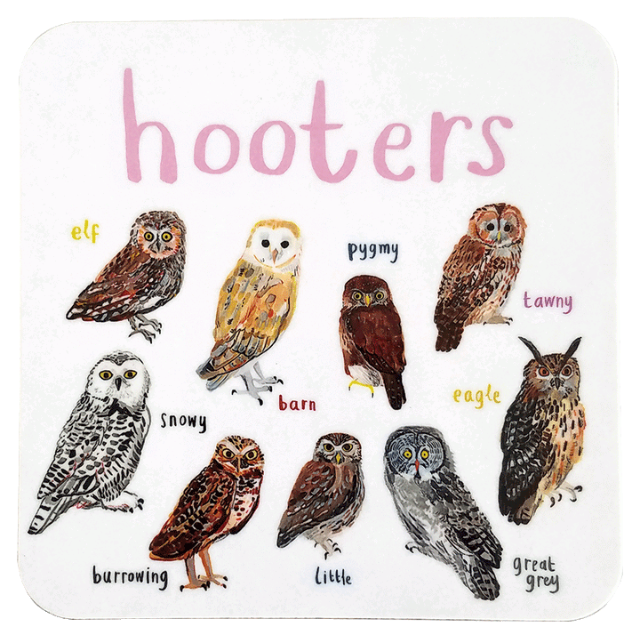 Cheeky Bird Coasters Additional 9
