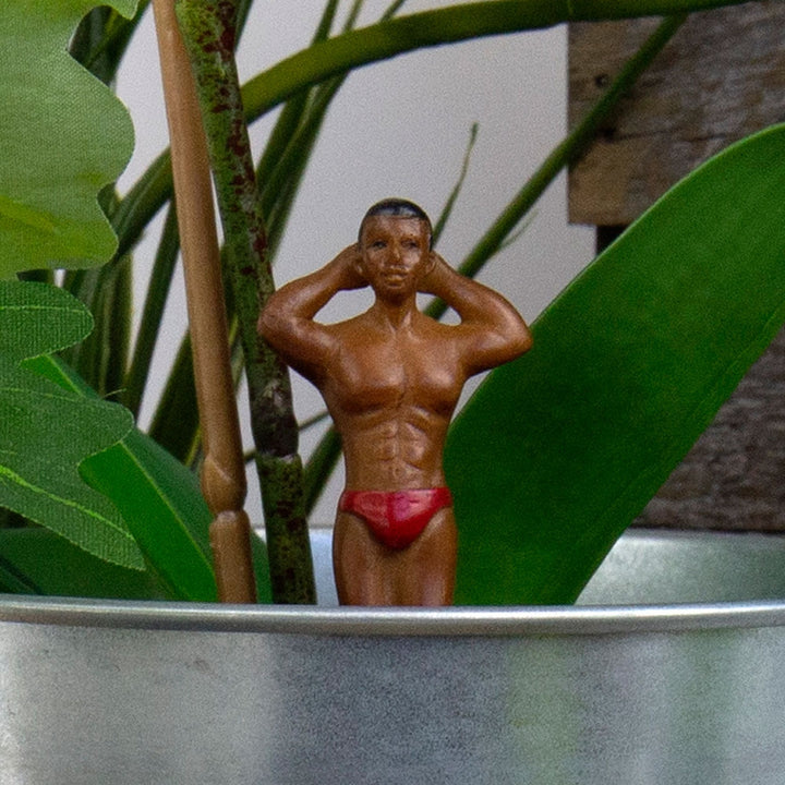 Hot Hunks Plant Markers [D] Additional 2