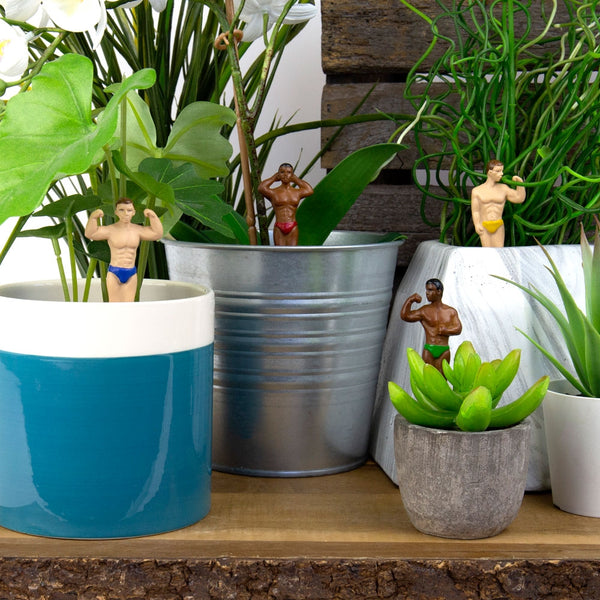 Hot Hunks Plant Markers