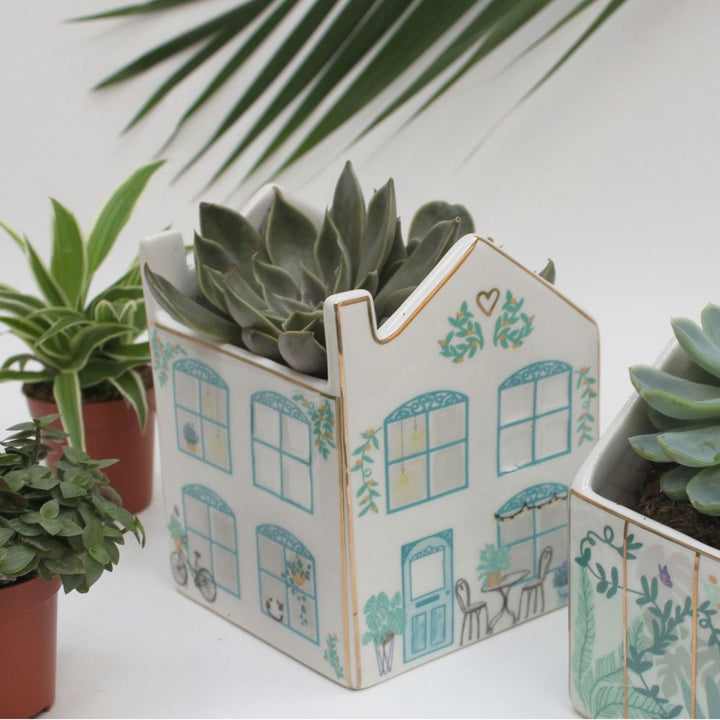 House Planter Additional 2