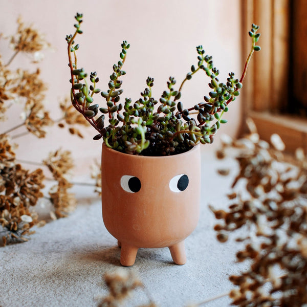 Little Stumpy Planter