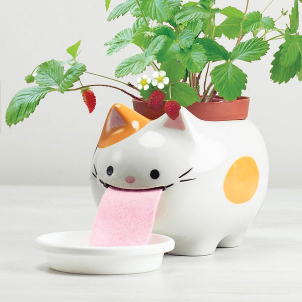 Papa Peropon Drinking Animal Planter - Cat