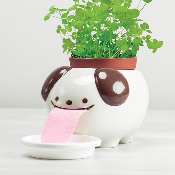 Papa Peropon Drinking Animal Planter - Dog