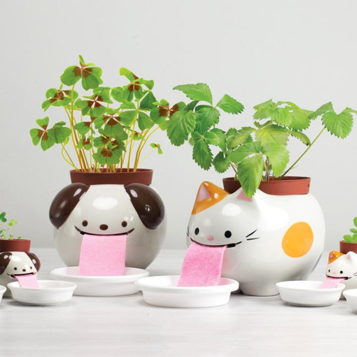 Papa Peropon Drinking Animal Planter - Dog Additional 3