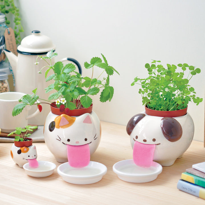 Papa Peropon Drinking Animal Planter - Dog Additional 2