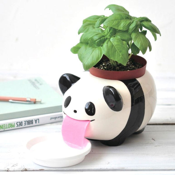 Papa Peropon Drinking Animal Planter - Panda