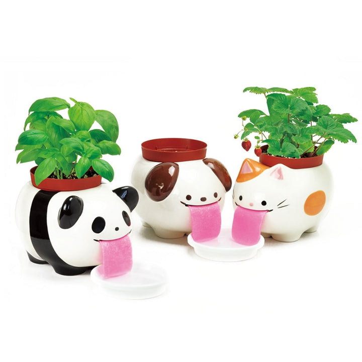 Papa Peropon Drinking Animal Planter - Panda Additional 2