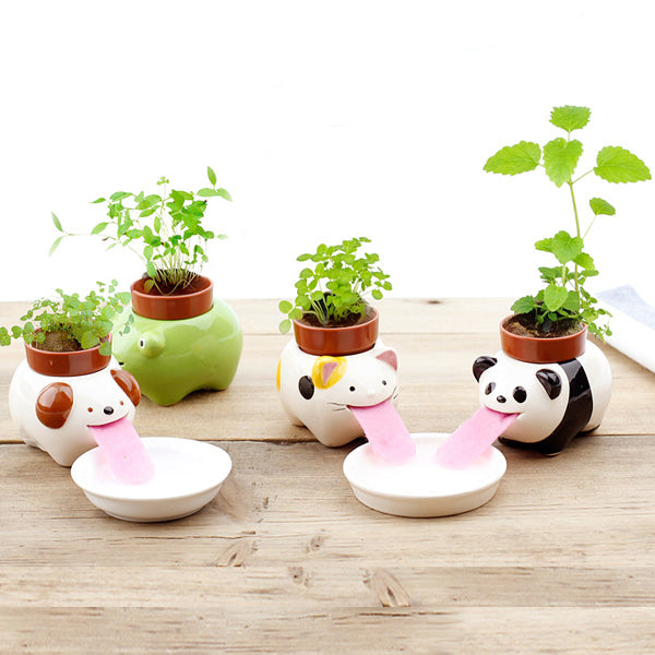 Peropon Drinking Animal Planter - Panda Additional 5