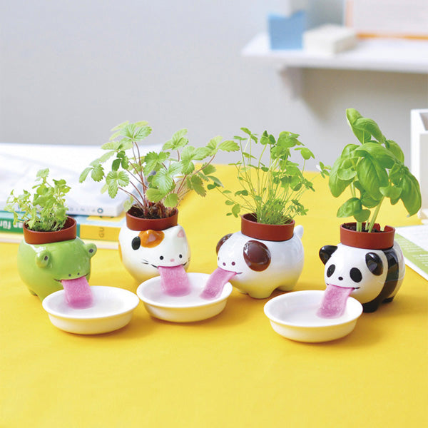 Peropon Drinking Animal Planter - Panda Additional 3