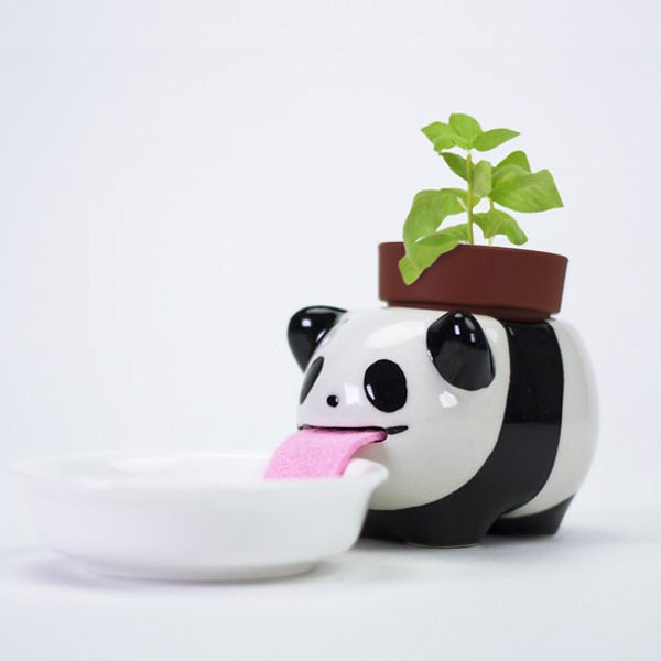Peropon Drinking Animal Planter - Panda