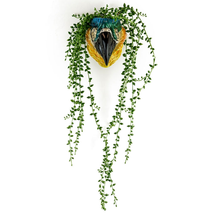 Peaches the Parrot Wall Planter Additional 2