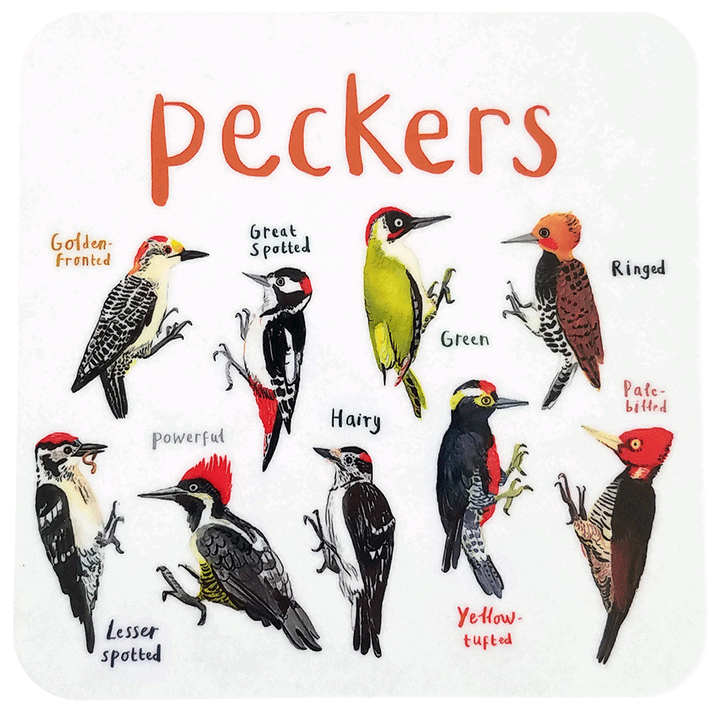 Cheeky Bird Coasters Additional 13