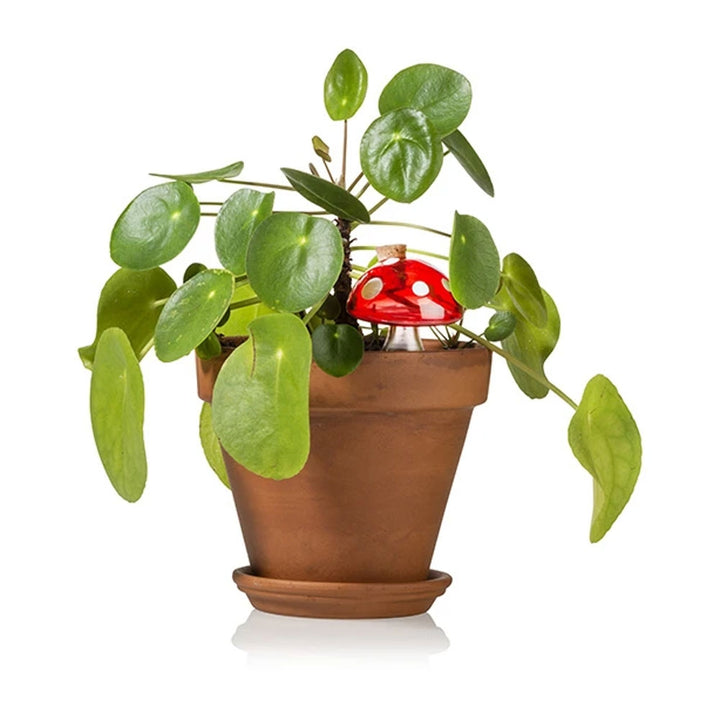 Plant Watering Mushroom Additional 2