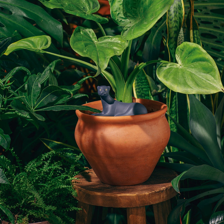 Panther Self-Watering Plant Spike [D] Additional 3
