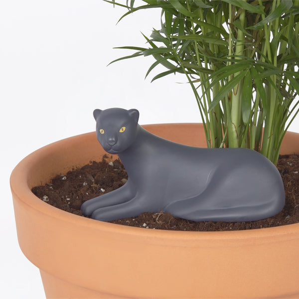 Preston Panther Self-Watering Plant Spike