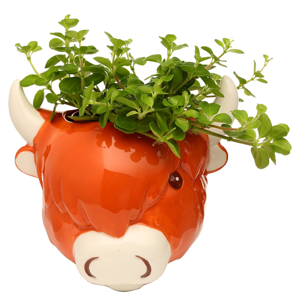 Highland Cow Planter