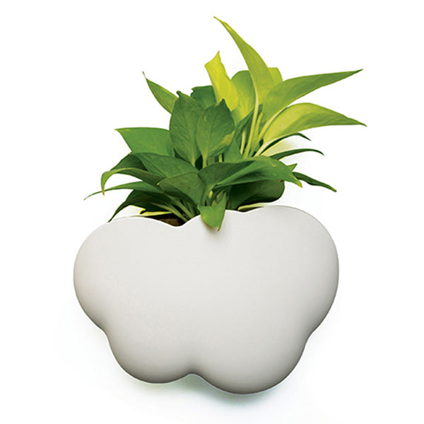 Cloud Storage Pot Additional 2