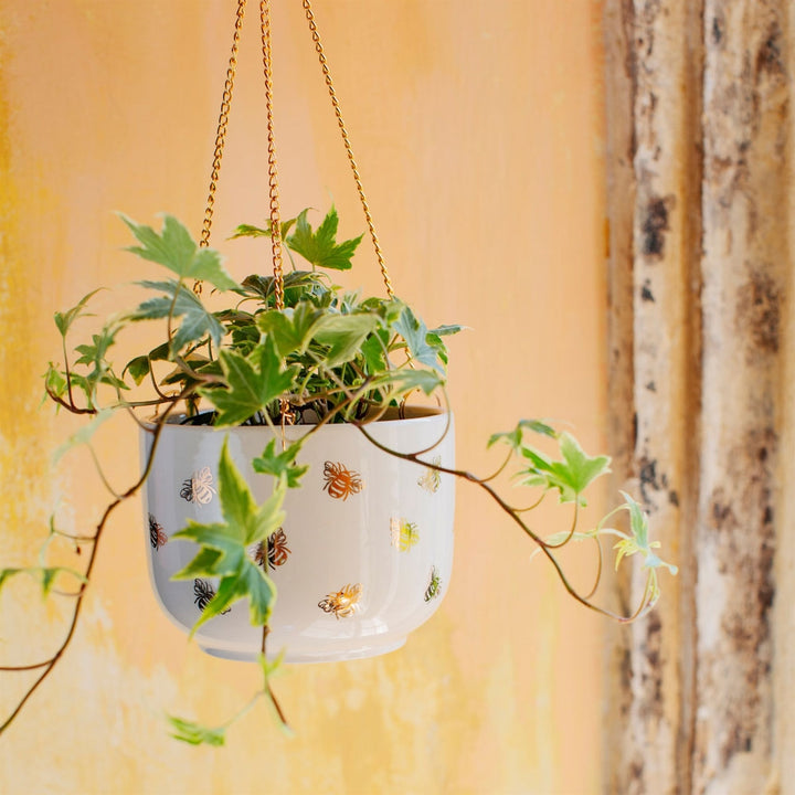 Queen Bee Hanging Planter [D] Additional 2