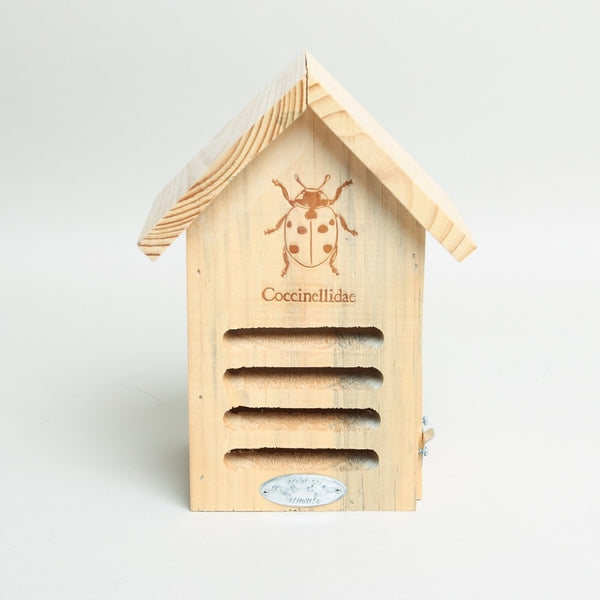 Ladybird Lodge [D]