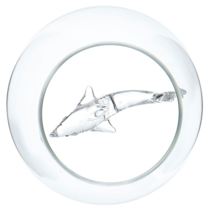 Shark in a Glass Additional 3