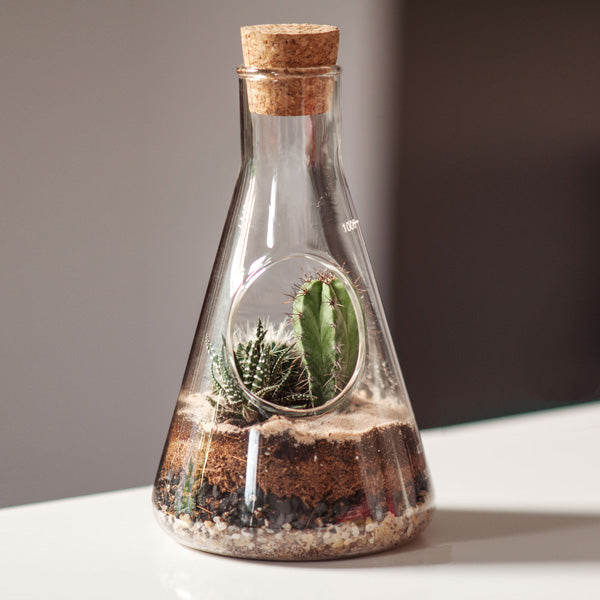 Chemist Terrarium Kit [D] Additional 2