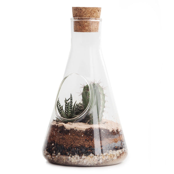 Chemist Terrarium Kit