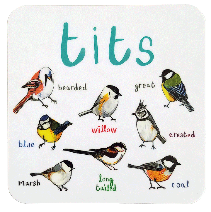 Cheeky Bird Coasters Additional 17