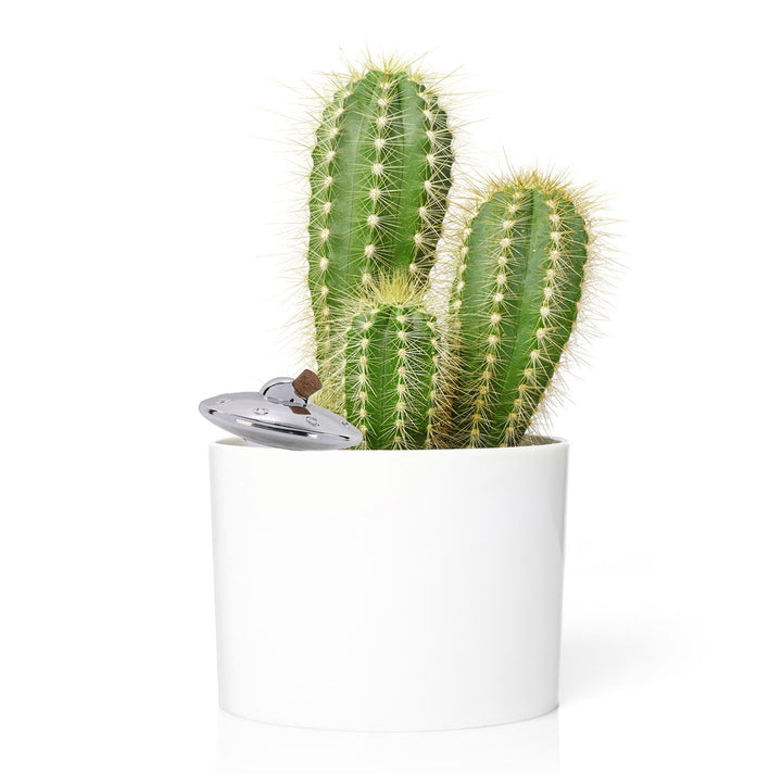 Plant Watering UFO [D] Additional 2